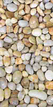 Панель ПВХ 2,7*0,25*0,008 №365 Морские камешки