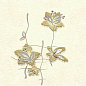 Панель ПВХ 2,7*0,25*0,008 Орхидея серебристая (миндаль) N158  КАР